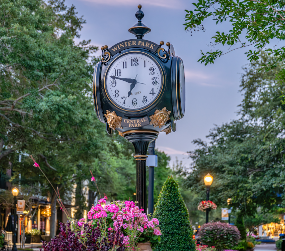 "winter park" flock in shopping plaza
